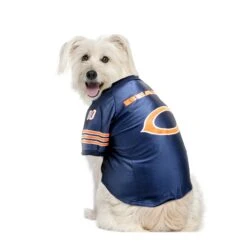 Chicago Bears Premier Navy Dog Jersey -Hockey Store 320135 BEAR XS L02
