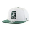 47 Chicago Cubs White/Green Be Alert For Foul Balls Snapback Hat -Hockey Store B NSHTT05WBP WH WR F