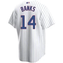 Nike Ernie Banks Chicago Cubs Home Pinstripe Men's Replica Jersey -Hockey Store BANKS 14 Home Back