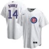 Nike Ernie Banks Chicago Cubs Home Pinstripe Men's Replica Jersey -Hockey Store BANKS 14 Home front back