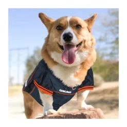 Chicago Bears Navy Pet Jersey -Hockey Store BEPE012 3