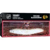 Chicago Blackhawks 1000 Piece Stadium Panoramic Puzzle -Hockey Store BLTG020 1