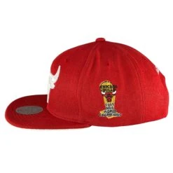 Mitchell & Ness Chicago Bulls Red 1991 NBA World Champions Snapback Hat -Hockey Store BUMSH194 1