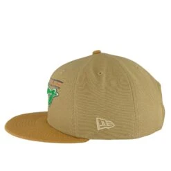 Nascar Racing Chicago Street Race Brown/Bronze New Era 9FIFTY Snapback Hat -Hockey Store NASMHA003 4