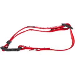 Chicago Blackhawks Red Dog Collar -Hockey Store media 695296f7 40a4 476d b98c 9b9f46b34f63