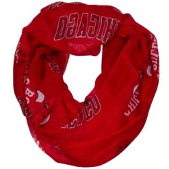 Chicago Bulls Sheer Infinity Scarf