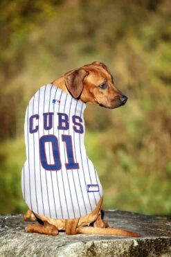 Chicago Cubs Pinstripe Dog Jersey -Hockey Store media bd4e6516 c7da 48b6 8c06 c1aad1e6ef17